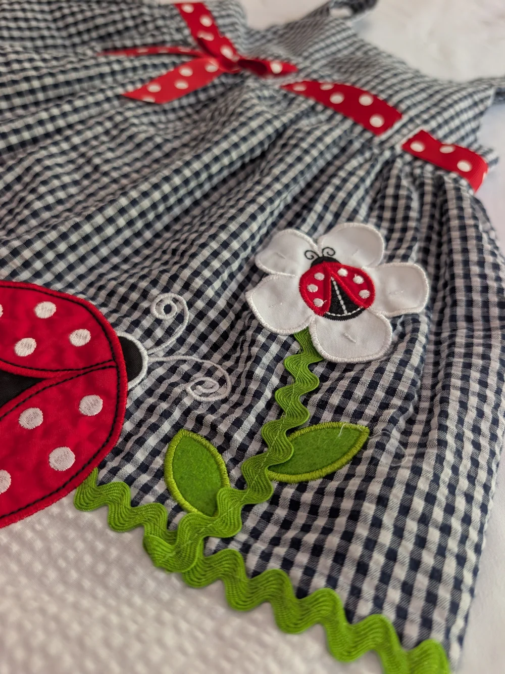 Rare Editions Black Gingham Dress with Red Accents 2t